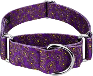 Country Brook Petz - Purple Paisley Martingale Dog Collar - Paisley Collection Featuring Classy Designs (1 1/2 Inch, Extra Large)