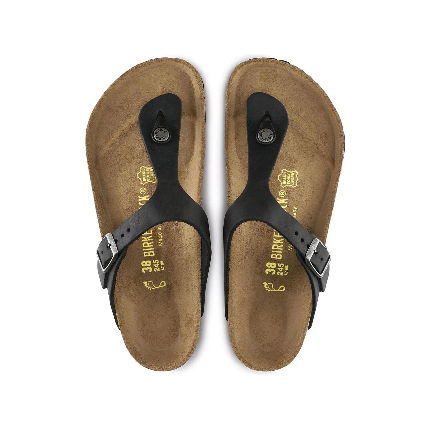 GIZEH - BLACK - OIL LEATHER