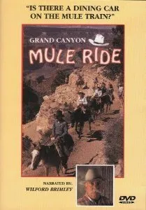 Grand Canyon Mule Ride
