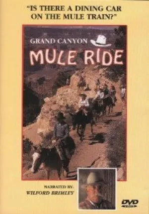 Grand Canyon Mule Ride