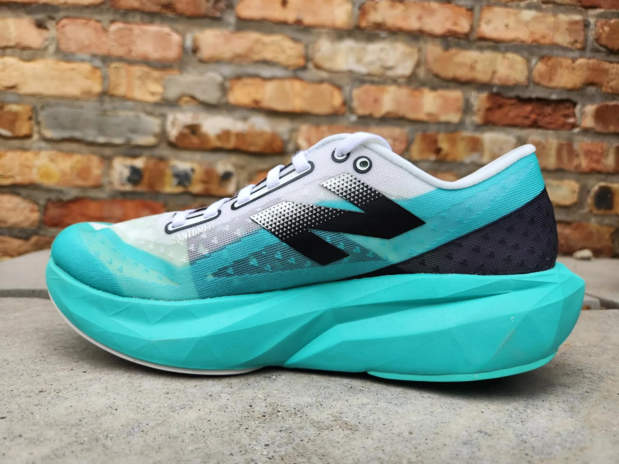 New Balance W FuelCell Rebel v4